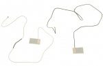 V000220110 - Antenna, with L, 2-PIN